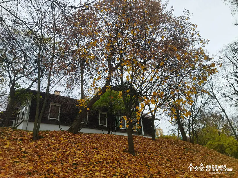 IMG_20221023_131453.jpg IMG_20221023_131453.jpg