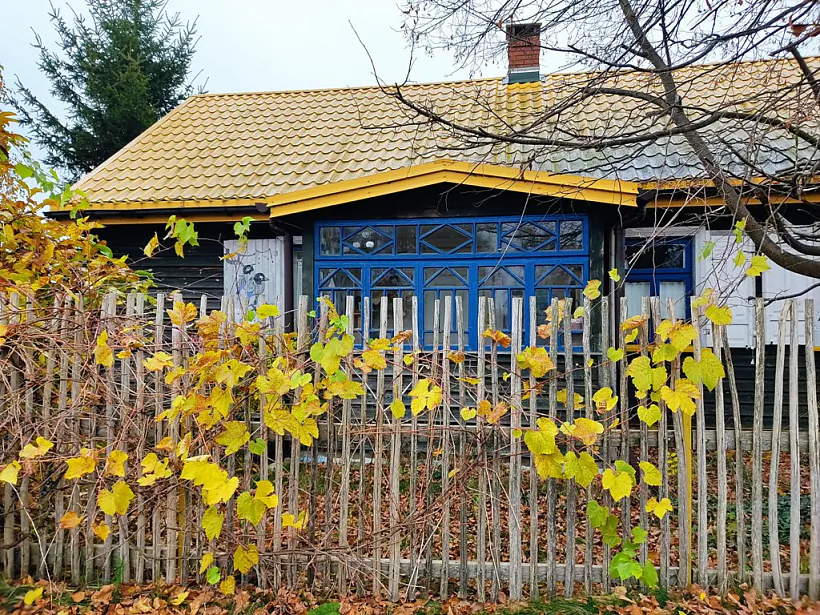 19_2022-10-24_2_Koryciski_A.Leshkevich_015.jpg 19_2022-10-24_2_Koryciski_A.Leshkevich_015.jpg