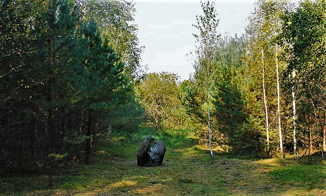 5.jpg 5.jpg