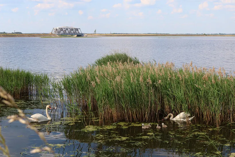 13_2023-06-05-09 Siemionówka_A. Leshkevich_0111.JPG