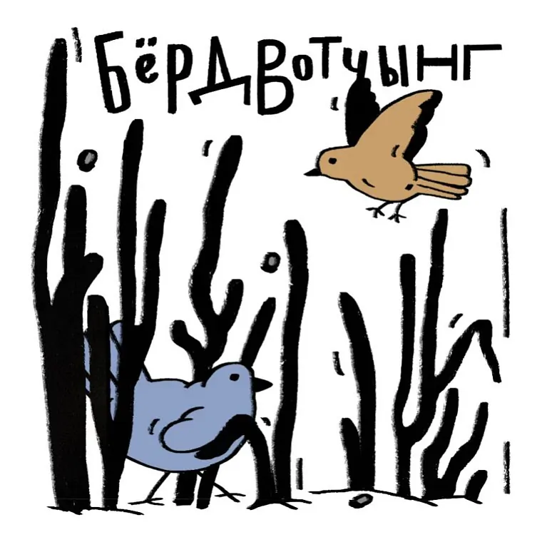 image5-768x768.jpg image5-768x768.jpg