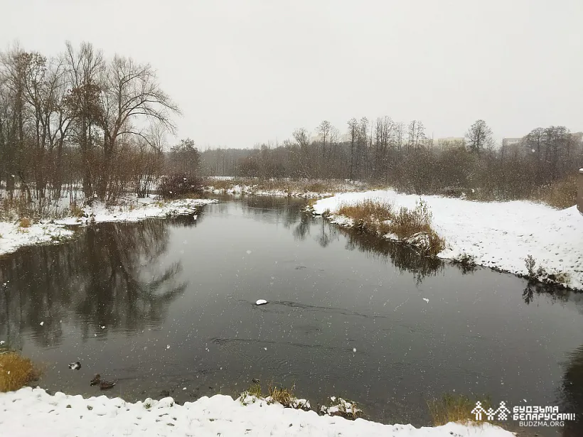 IMG_20221119_153620.jpg IMG_20221119_153620.jpg