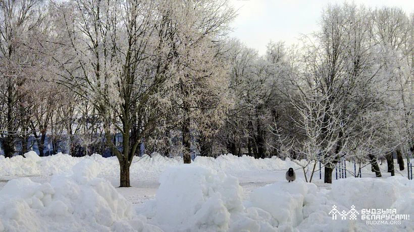 photo (16 of 16).jpg