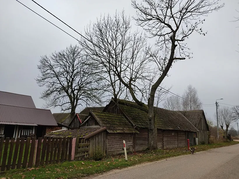 10_2022-11-14 Siemianowka_A.Leshkevich_036.jpg 10_2022-11-14 Siemianowka_A.Leshkevich_036.jpg