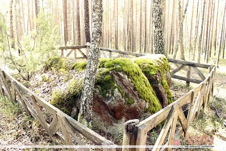 photo_2022-10-04_12-00-40.jpg photo_2022-10-04_12-00-40.jpg