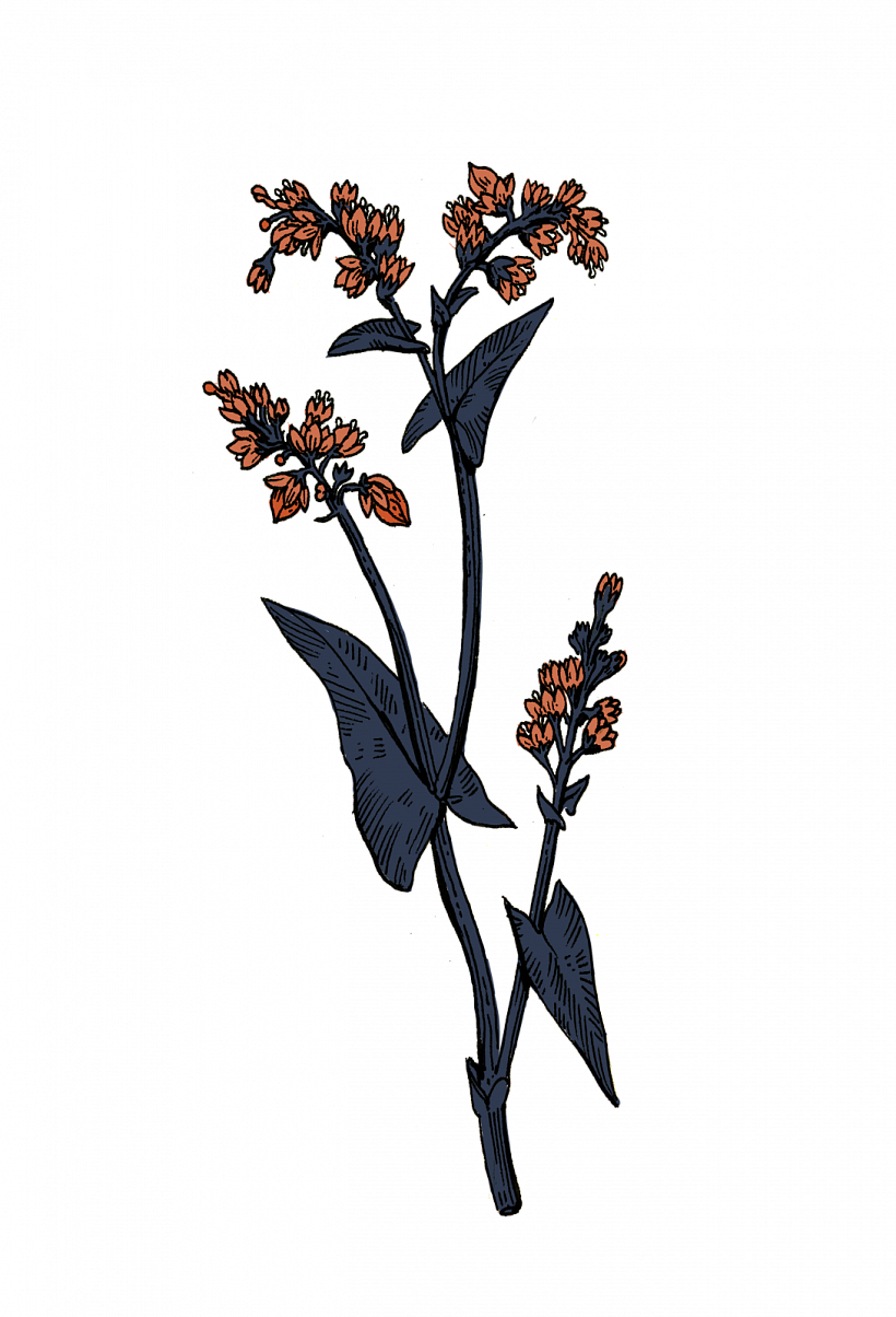 27.png 27.png