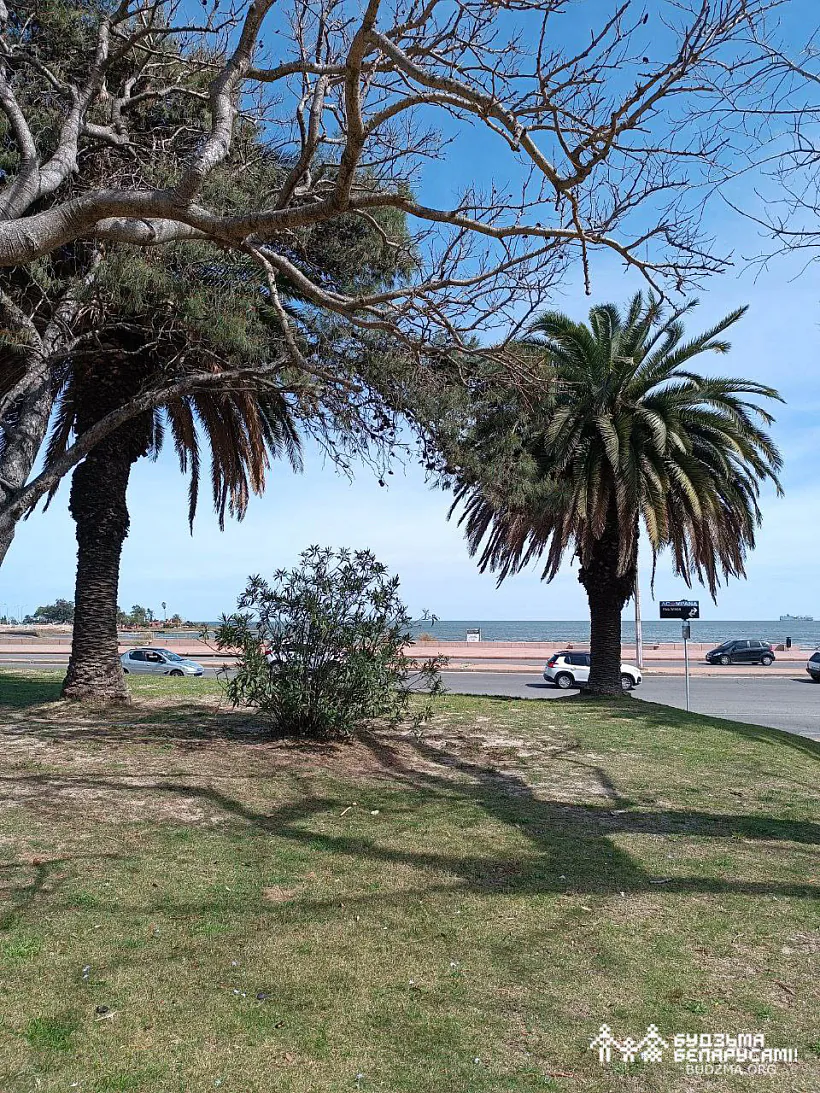 Мантэвідэа