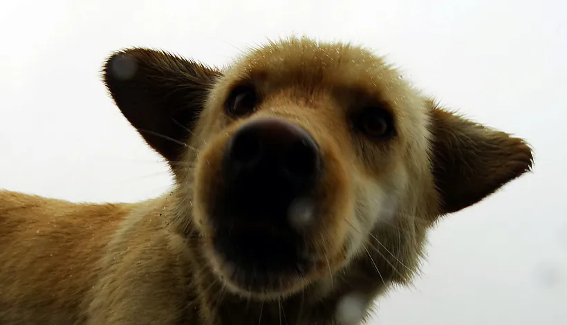 DSC08431.jpg DSC08431.jpg