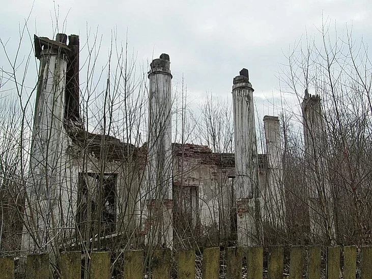 Porcik palaca Radzivilaŭ