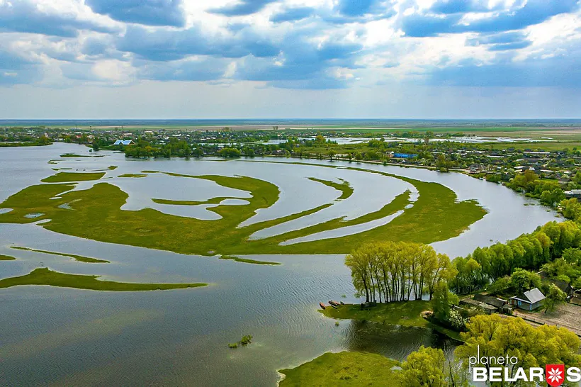 planeta-belarus-bolota.jpeg planeta-belarus-bolota.jpeg