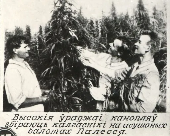 Fota z archivu BDAKFFD. Fota z archivu BDAKFFD.