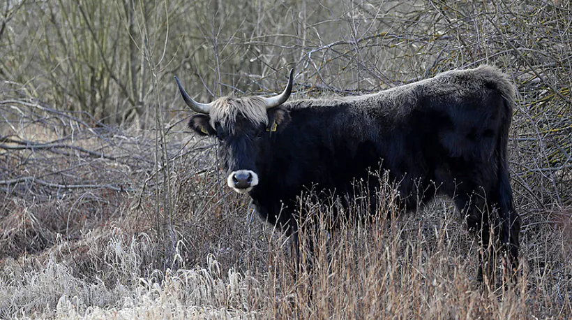 000023_5D93B09BEF5536AF4325852000460C13_611660.jpg 000023_5D93B09BEF5536AF4325852000460C13_611660.jpg