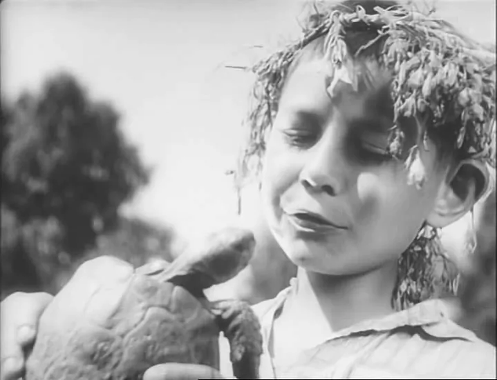 палеския рабинзоны.jpg палеския рабинзоны.jpg