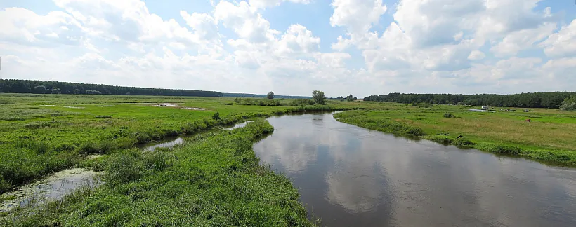 Рака Нарва фота з Вікіпедыі.JPG
