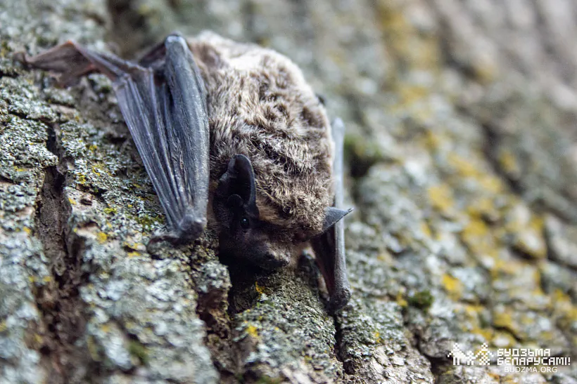 photo (66 of 98).jpg photo (66 of 98).jpg