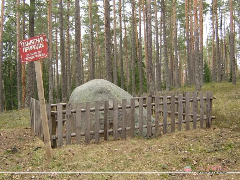 photo_2022-10-04_12-00-42.jpg photo_2022-10-04_12-00-42.jpg