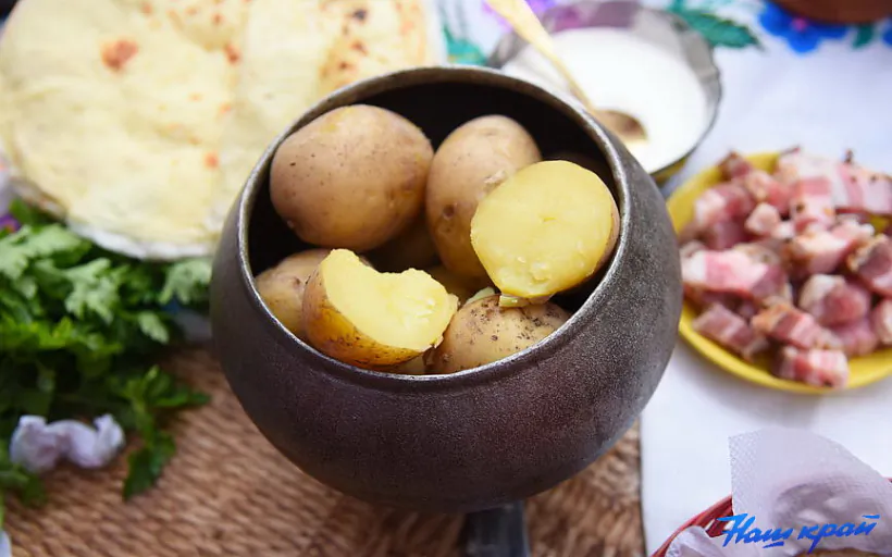 fakty-pra-belaruskuju-bulbu