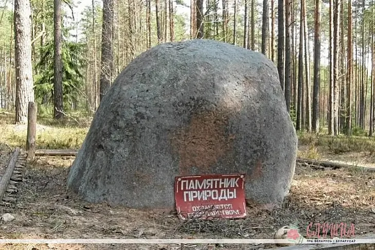 photo_2022-10-04_12-00-41.jpg photo_2022-10-04_12-00-41.jpg