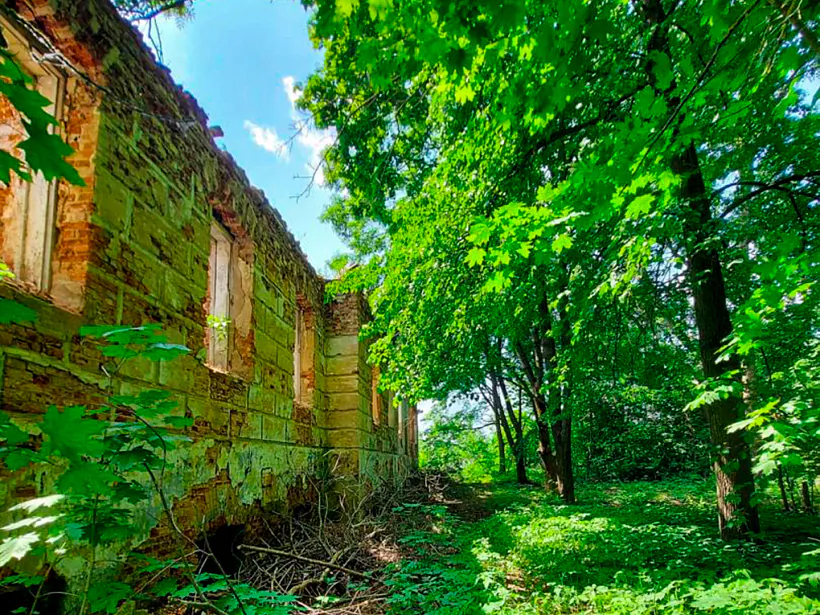 16 syadziba-lyubamirskih-berascenava.jpg