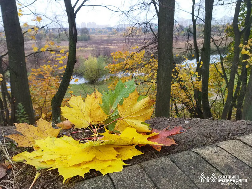 IMG_20221023_122754.jpg IMG_20221023_122754.jpg