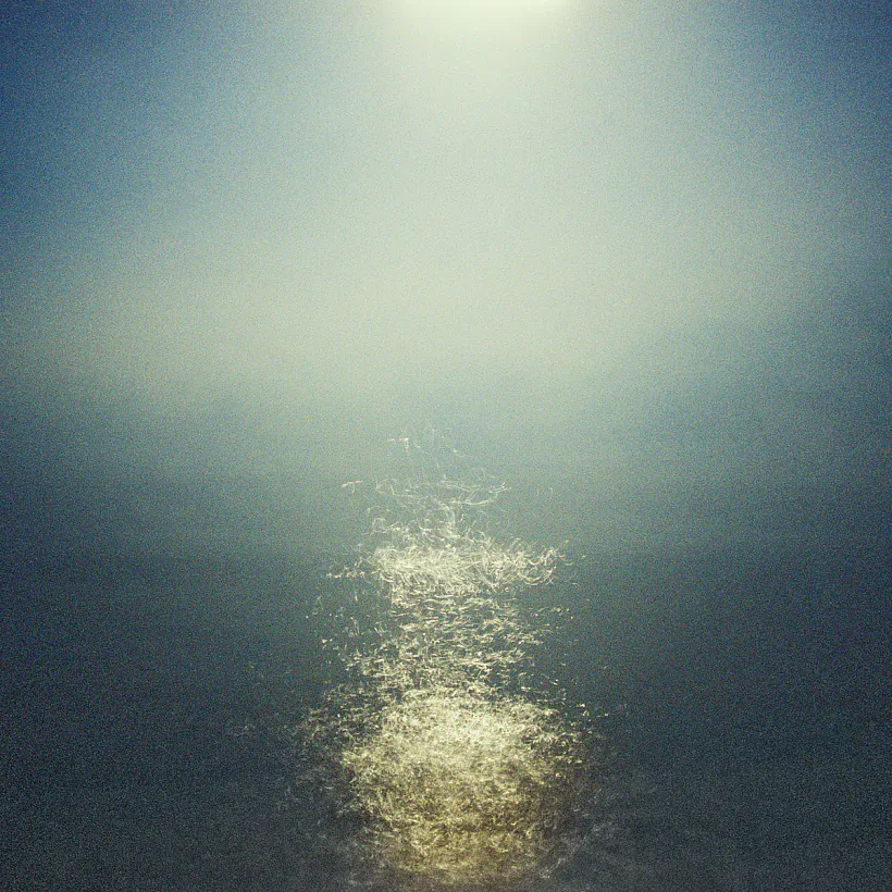 Egor Voinov work  Egor Voinov work