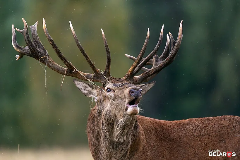 uvkp8xpqri4zdfc8utln1sbjon19v50c.jpg uvkp8xpqri4zdfc8utln1sbjon19v50c.jpg