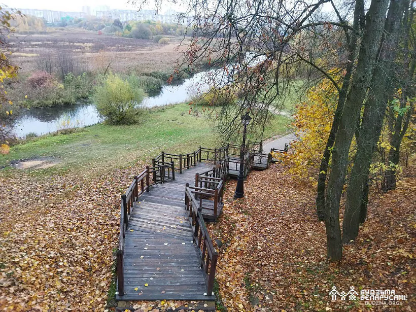 IMG_20221023_122836.jpg IMG_20221023_122836.jpg