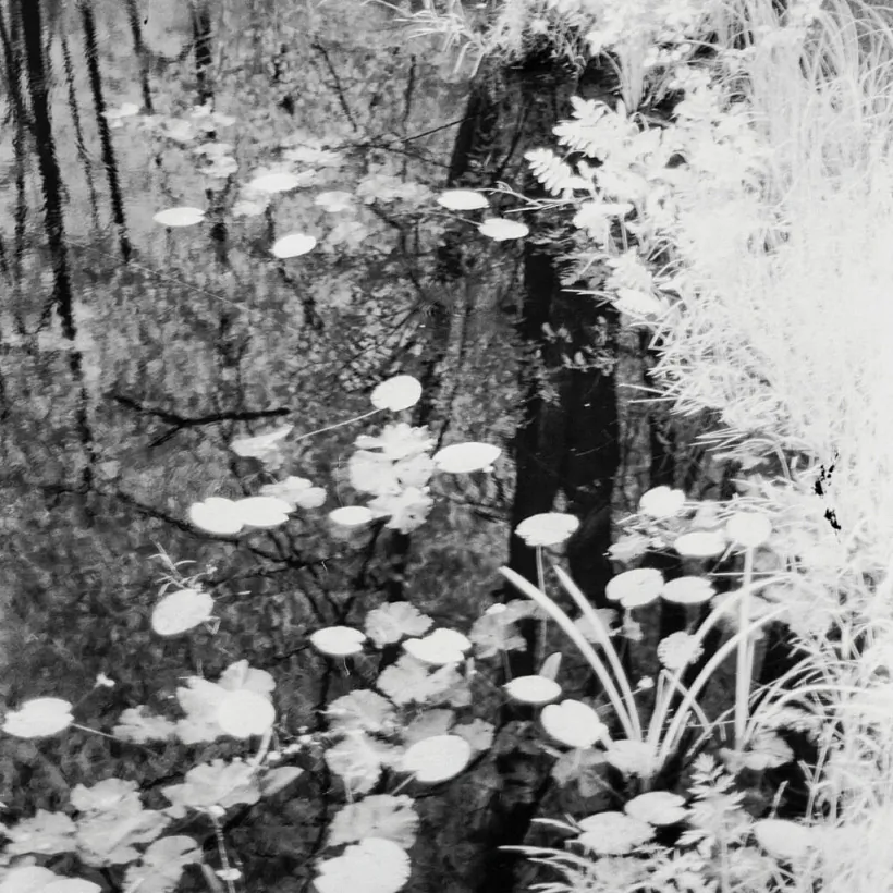 «Hłybokaje / Čarbamysła»