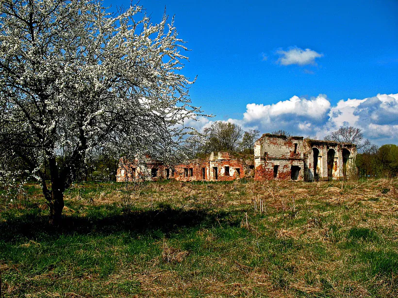 klyashtar_bernardynak.jpg klyashtar_bernardynak.jpg