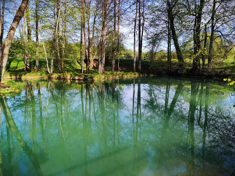 Sini Kalodziež  Sini Kalodziež