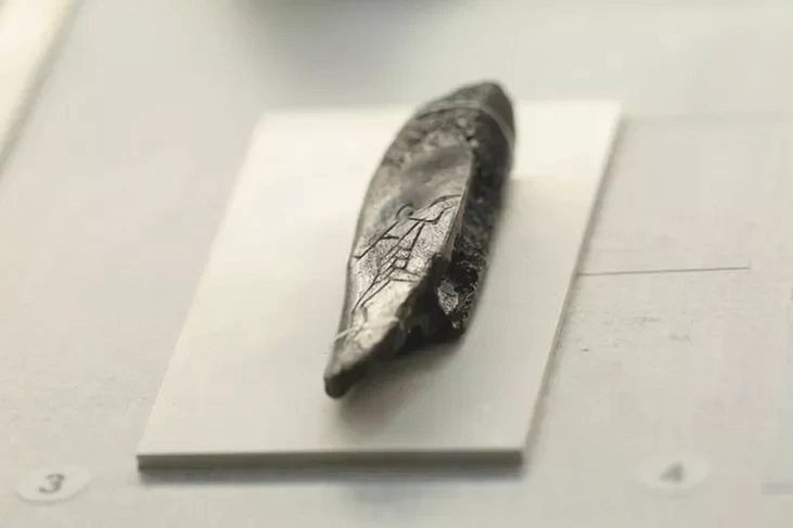 Kostka z hrafici «paliaŭničy z siakieraj»