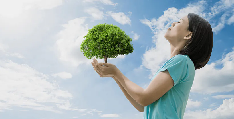 gd954ntg5vbbjl9nl0do73g5ovabp0m4.png gd954ntg5vbbjl9nl0do73g5ovabp0m4.png