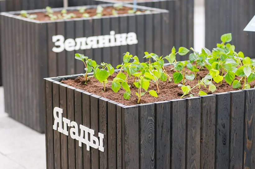 А1гарод (1).jpg А1гарод (1).jpg