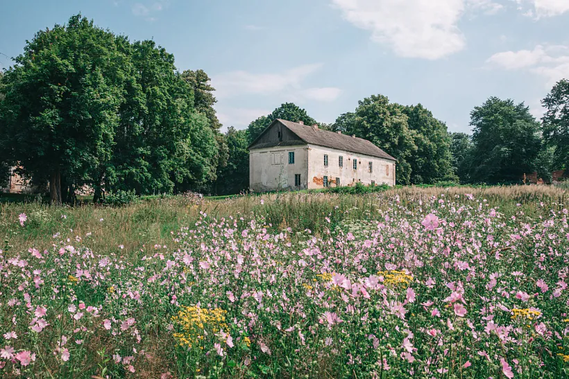 296A4468.jpg 296A4468.jpg