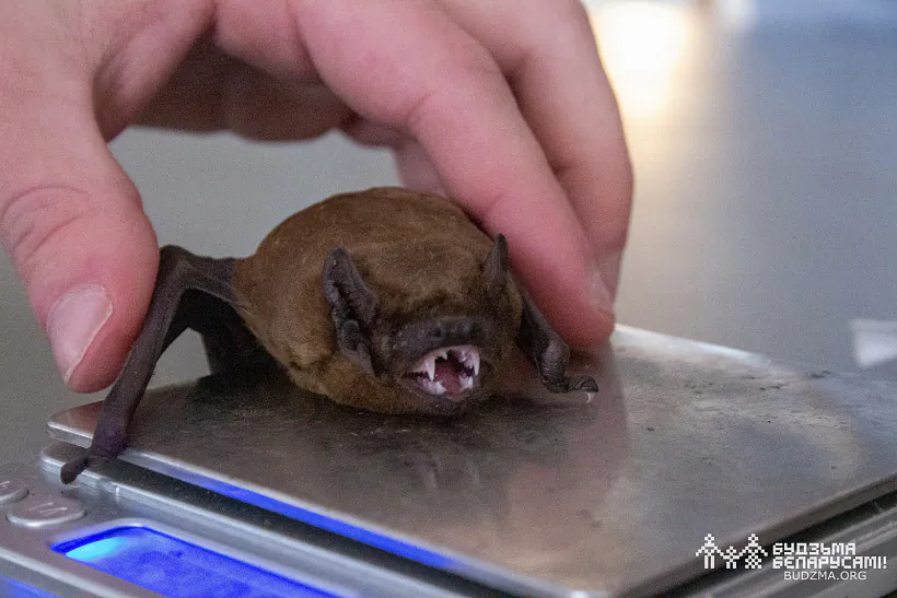 photo (101 of 110).jpg photo (101 of 110).jpg