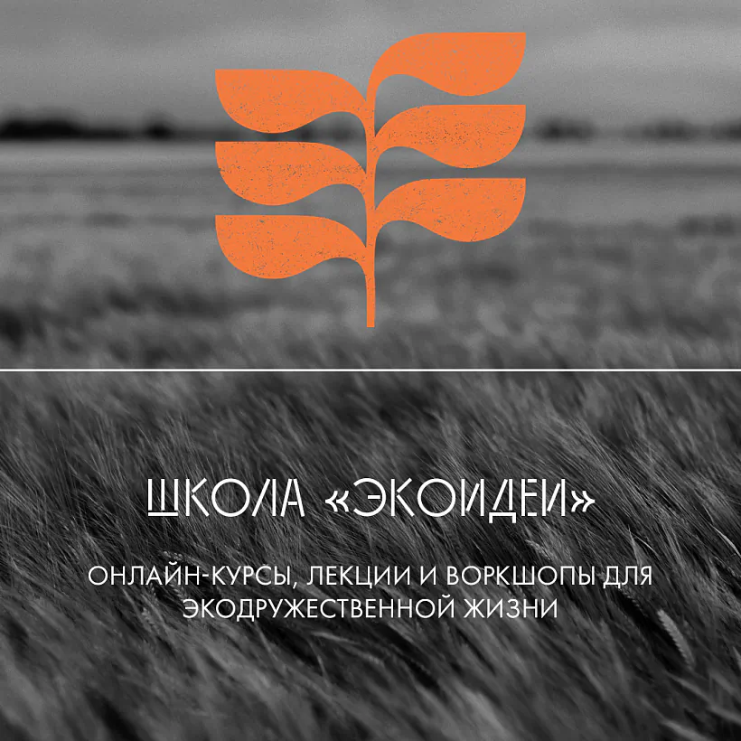 школа экоидеи_квадрат.jpg
