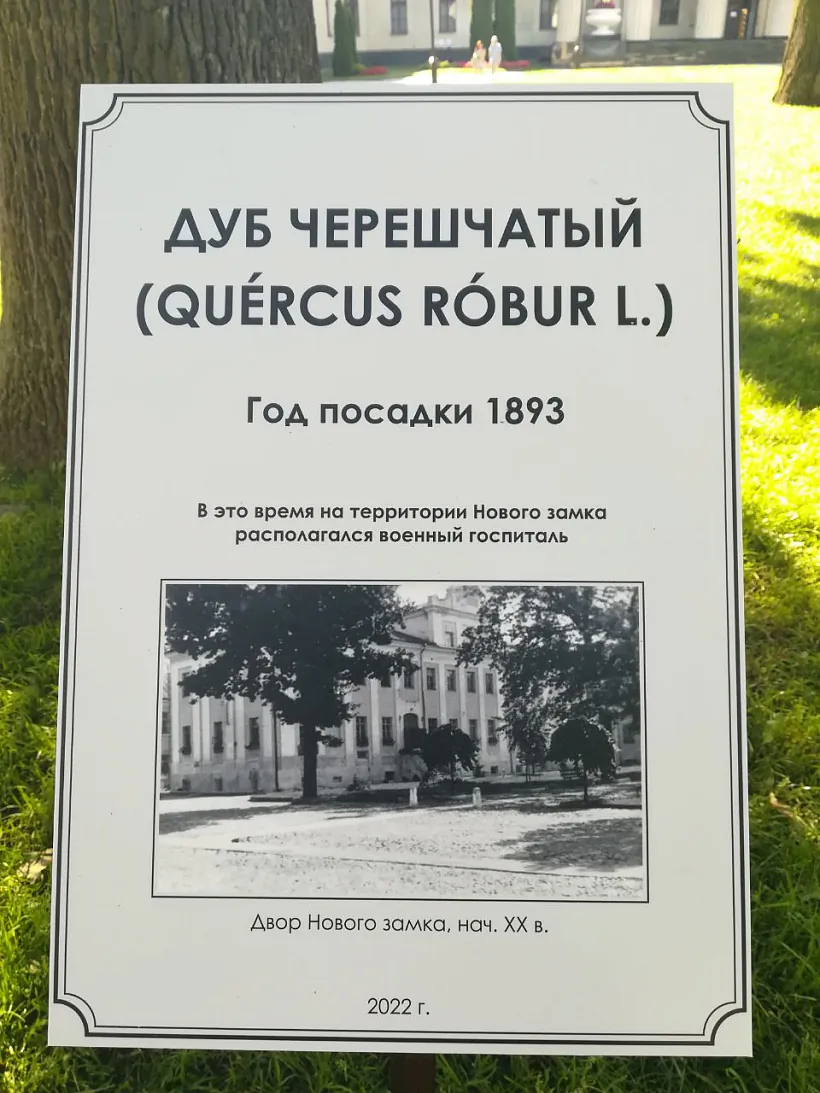 3 photo_2022-08-04_10-06-40-1.jpg 3 photo_2022-08-04_10-06-40-1.jpg