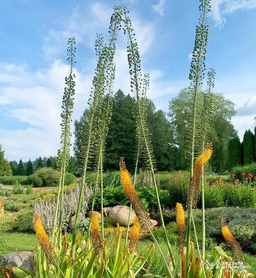 Куды пайсці на выходных?