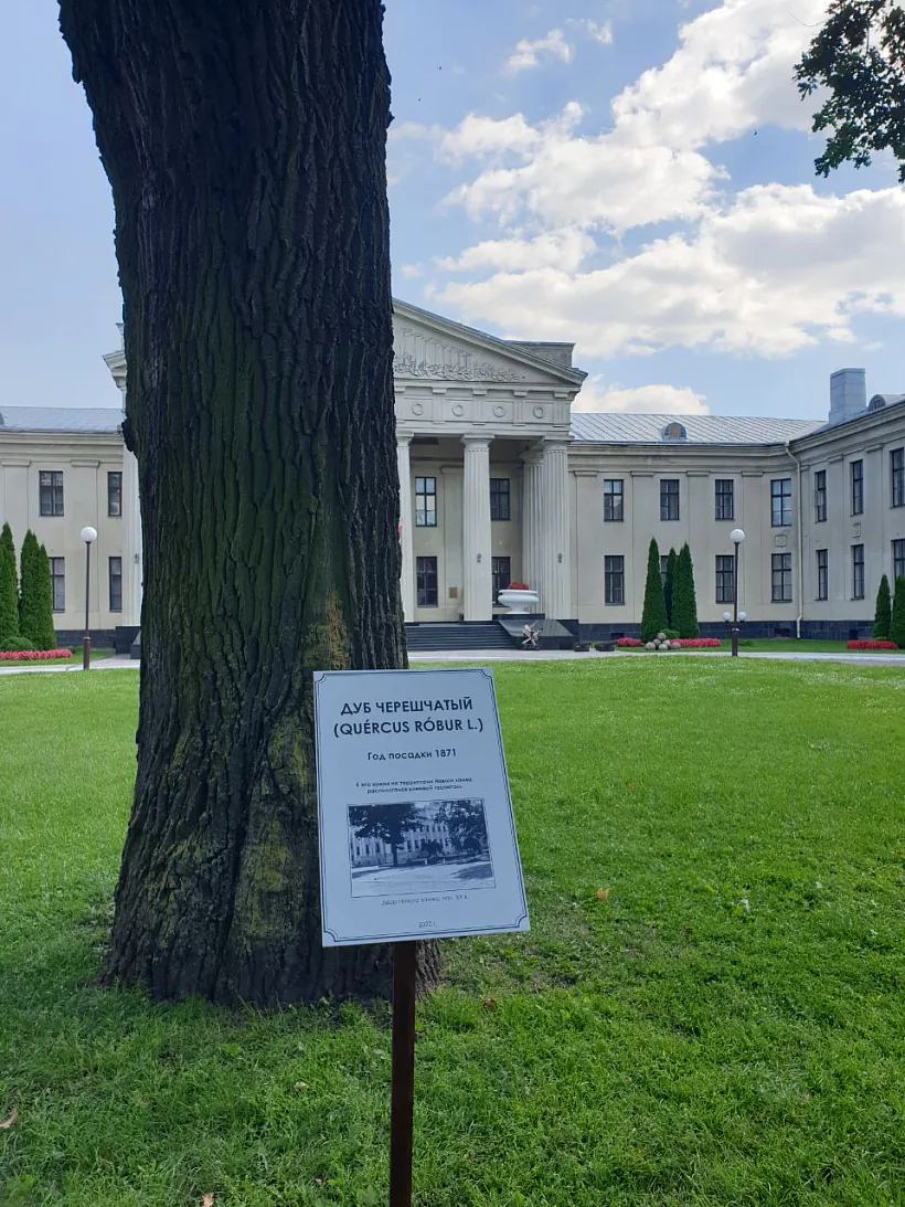 2 photo_2022-08-04_10-03-08-1.jpg 2 photo_2022-08-04_10-03-08-1.jpg