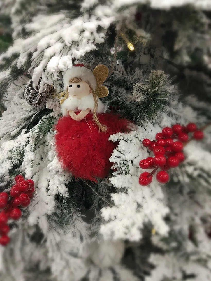 photo_2020-12-25_16-52-44.jpg photo_2020-12-25_16-52-44.jpg