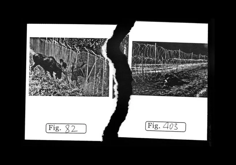 Kadr z videa «Asimietryčny hłasaryj»