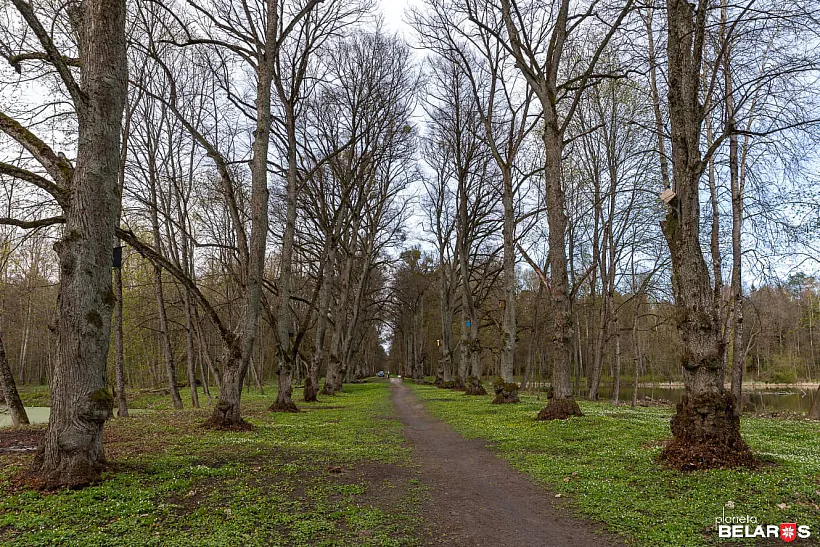 awenax9kr1ky6u047ughdvpl9g0jcvjg.jpg awenax9kr1ky6u047ughdvpl9g0jcvjg.jpg