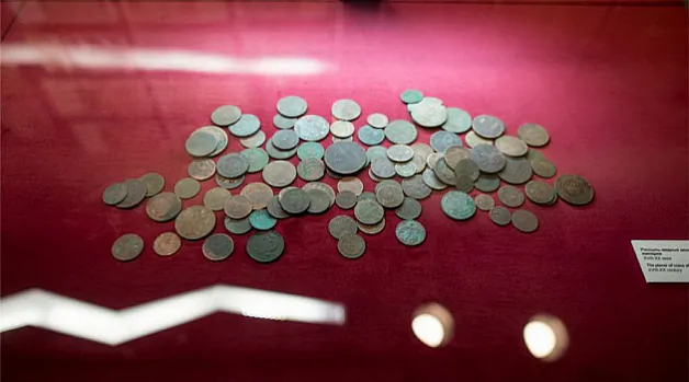 Ekspanaty ŭ Muziei historyi hrošaj Ekspanaty ŭ Muziei historyi hrošaj