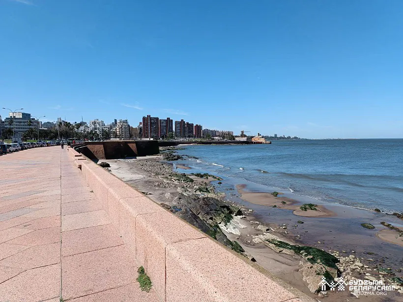 Мантэвідэа