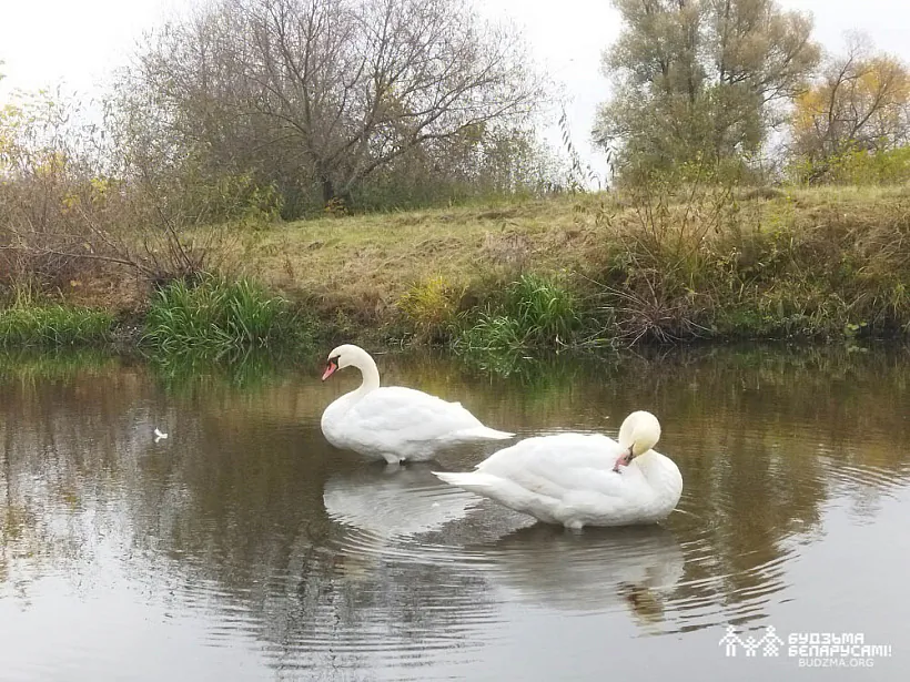 IMG_20221023_131757.jpg IMG_20221023_131757.jpg