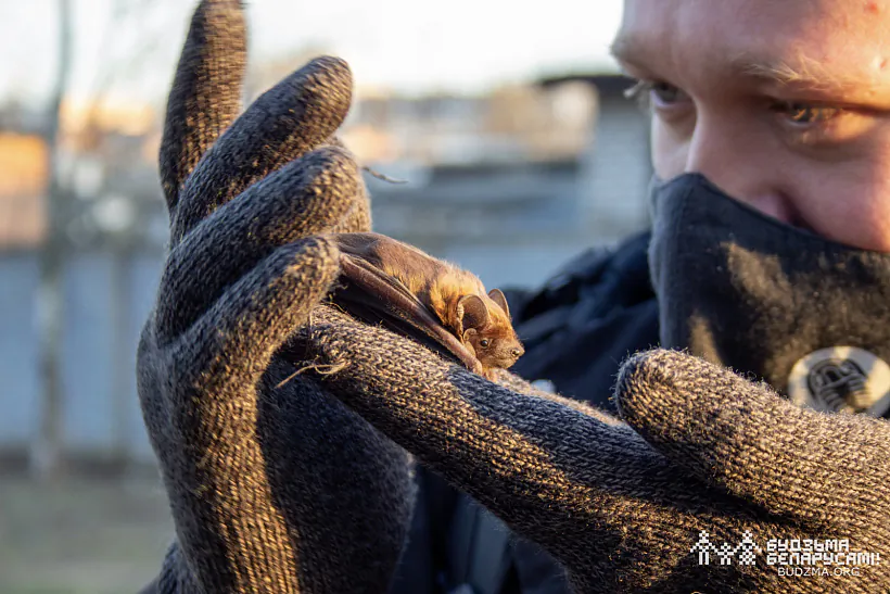 photo (30 of 98).jpg photo (30 of 98).jpg