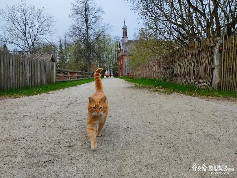 22_2023-04-19-21 skansen w Ciechanowcu_A.Leshkevich_0025.jpg