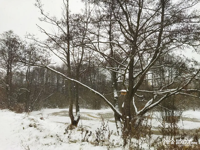 IMG_20221119_154516.jpg IMG_20221119_154516.jpg