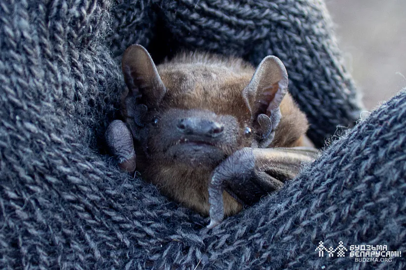 photo (14 of 98).jpg photo (14 of 98).jpg