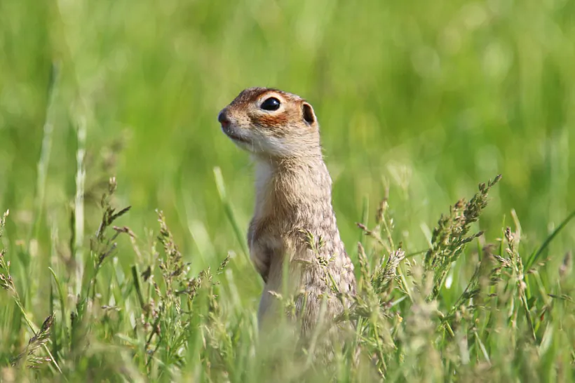 photo_2022-06-04_12-13-03.jpg photo_2022-06-04_12-13-03.jpg
